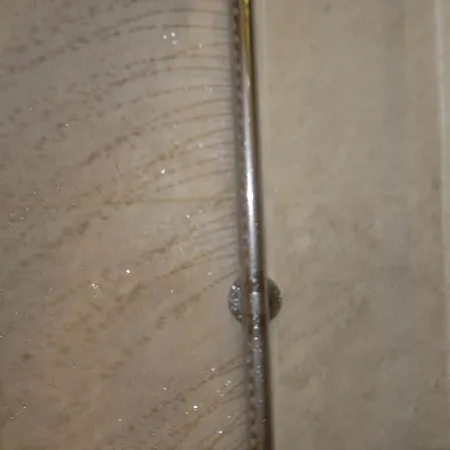 Lägenhet La Coquille